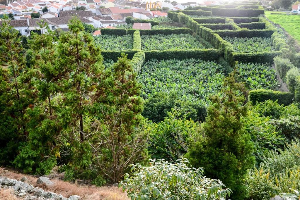 Quinta Amaro Al Hotel Angra do Heroismo Bagian luar foto